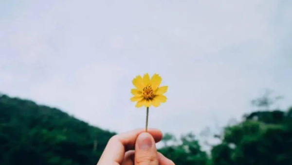 天秤座的人在感情中专情吗？