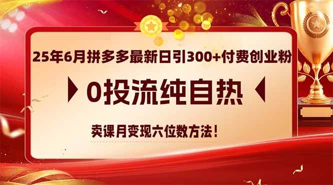 图片[1]-（14989期）25年6月拼多多最新日引300+付费创业粉，0投流纯自热 卖课月变现六位数方法-倾慕云小窝