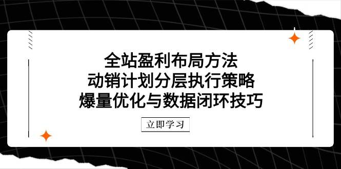 图片[1]-（14698期）全站盈利布局方法：动销计划分层执行策略，爆量优化与数据闭环技巧-倾慕云小窝